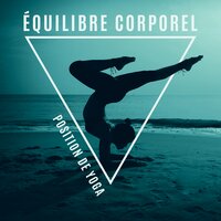Formation de yoga à domicile avec des sons de la nature - Nature Académie