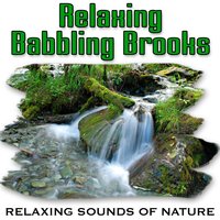 Strong, Steady Brook Builds Confidence and Serenity - Relaxing Sounds of Nature