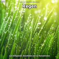 Regen, pt. 71 - Larina Mergs & Rain Sounds & Nature Sounds