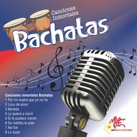 Gavilan o Paloma - El Gringo de la Bachata