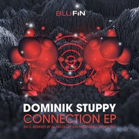The Connection - Dominik Stuppy & Alain Delay