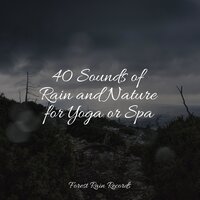 Rain, Drain, Cement, Lawn - Relaxing Sleep Music & The Sleep Principle & Música para Relaxar Maestro