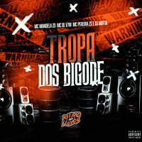 Tropa dos Bigode - DJ MOTTA & Mc Mandela ZO & Mc Bl V7M & MC Pereira ZS