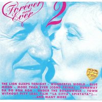 The Lion Sleeps Tonight - The Tokens