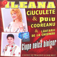 Banu-i ochiul dracului - Ileana Ciuculete & Puiu Codreanu & Lăutarii de la Chișinău