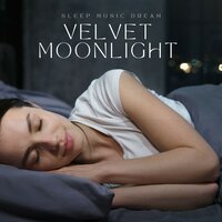 Insomnia Relief Music - Sleep Music Dream