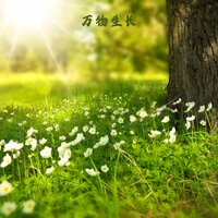 此生无憾 - 禅修音乐盒
