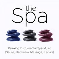 Meditation before Sleep - Day of Delight