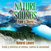 Vida en el Ártico - Natural Lovers