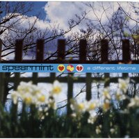 …you are forgiven - Spearmint