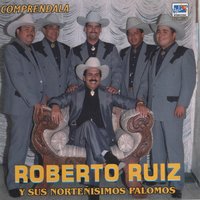 Mi Puro Amor - Roberto Ruiz