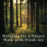 Serenity Along the Path - Inner Calm Studio