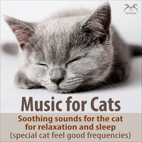 Relaxation Music for the Cat: Soft Piano Sounds for My Pet (Extra Frequency Range for the Cat to Feel Good) - Music for Cats TA & Torsten Abrolat & Cat Relaxing Sounds TA