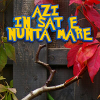 Foaie Verde Flori Marunte Hai, Hai Inima Hai - NUNTA LA MOLDOVENI