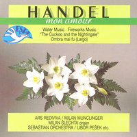 Concerto for Organ and Orchestra No. 13 in F-Sharp Major, .: II. Allegro - Libor Pesek & Sebastian orchestra & Milan Šlechta & Sebastian orchestra, Libor Pešek, Milan Šlechta & Георг Фридрих Гендель