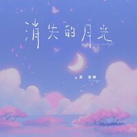 消失的月光 - 苏星婕