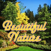 Countryside Daytime Ambience with Birds Nature Sound - Nature Sounds