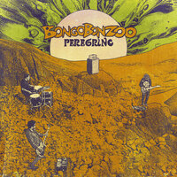 Vendaval - Peregrino