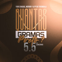 Quantas Grama Preto  5.5 - DJ YURI CHAGAS & Fp do Trem Bala & DJ Luanzinho