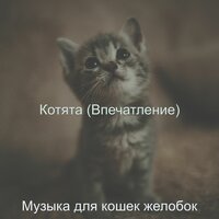 Звуки (Расслабляющие кошки) - Музыка для кошек желобок