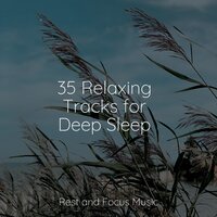 Timeless Romance - Chakra Balancing Sound Therapy & Binaural Beats Brainwave Entrainment & Relaxing Spa Music