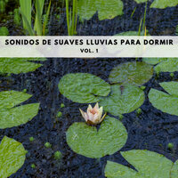 Un Tonto Bajo La Lluvia - Sonidos de lluvia y ruido de fondo & Tormenta Jamaicana & Musica relajante dormir