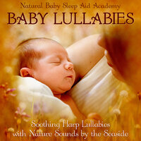 Sleep Safely in My Arms - Natural Baby Sleep Aid Academy & Lily's Corner