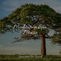Serenity Ocean - Tinnitus Aid & Yoga Rain & Rain Spa