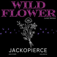 Wildflower - Jackopierce & Jack O'Neill & Cary Pierce