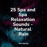 Birds in Twilight - Sounds of Rain & Thunder Storms & Natural Rain Sounds for Sleeping & Deep Sleep Relaxation