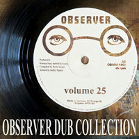 Blood And Fire Dub - Niney The Observer