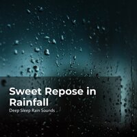 Rest Well in Skyfall - Deep Sleep Rain Sounds & Rain Sounds Collection & Rain Meditations