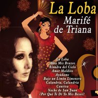 Amor Maldito - Marifé de Triana
