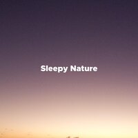 Total Relaxation (Qi Gong) - Walter Stress & Nature Sound Collection & Nature Sound Collection & Walter Stress