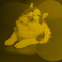 Trio Jazz Soundtrack for Home Cats - Cat Music Dreams