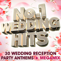 Continuous DJ Wedding Megamix free with full album download - The Wedding Party All Stars