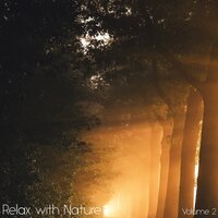 Waters Flowing - Sounds of Nature White Noise for Mindfulness Meditation and Relaxation & Relaxing Mindfulness Meditation Relaxation Maestro & Sounds of Nature White Noise Sound Effects