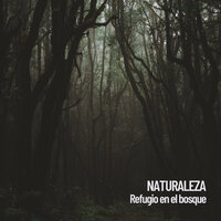 Clima húmedo - Nature Sounds Nature Music & Sounds of Nature Noise & Nature Ambience