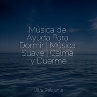 Horas y Horas - Dormir Mucho & Saludo al Sol Sonido Relajante & Masaje Relajante Masters