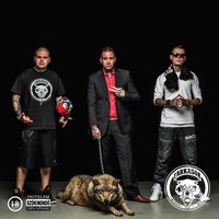 Farkasok - Mr.Busta
