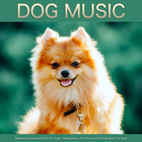 Relaxing Music For Dogs - Dog Music & Calming Music For Pets & Sleeping Music For Dogs