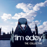 Tiny Island - Tim Edey