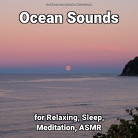 Sounds to Sleep By - Nature Sounds & Ocean Sounds & Sea Waves
