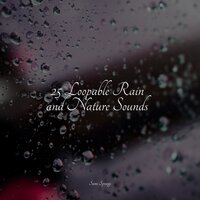 Rainy Woodland Ambience - Deep Relaxation Meditation Academy & Rain Sound Studio & Binaural Beats Brain Waves Isochronic Tones Brain Wave Entertainment