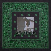 Pioner - FIKU$