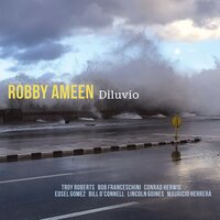 Into the Clear - Robby Ameen