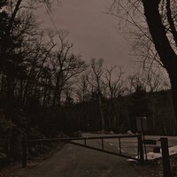 anhedonia - Veins