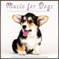 The Best Music for Man's Best Friend - Sleepy Dogs & Pet Care Club & Dog Music
