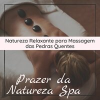 Dia Perfeito - Sons da Natureza Relax