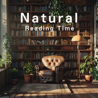 Peaceful Contemplation, Silent Room - Relaxing Bgm Project